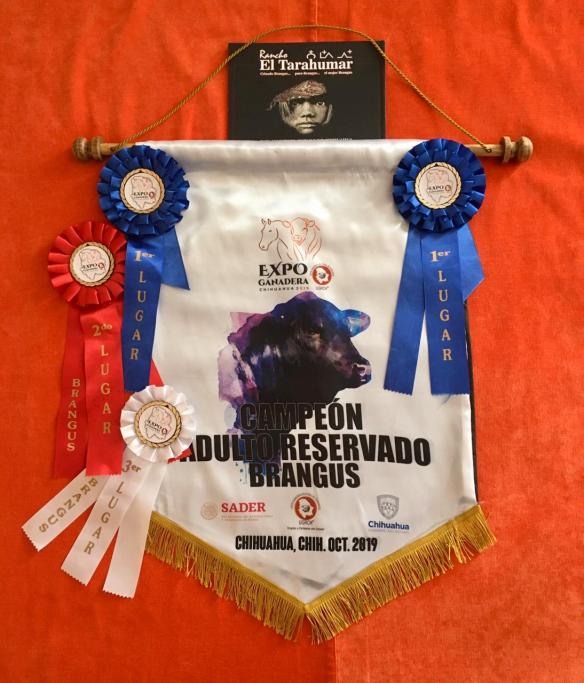 810E4B0D-5ED9-4621-9402-B89E50E87A70