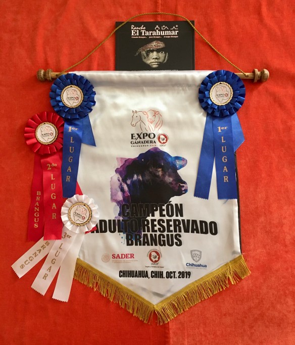 9CFAEAA0-112D-4BC7-9591-9A93FD7670CC