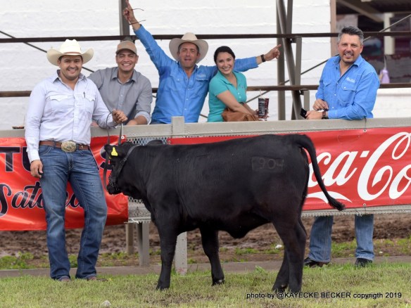 AC9BC5FF-0EE9-40A2-8112-05B586866584