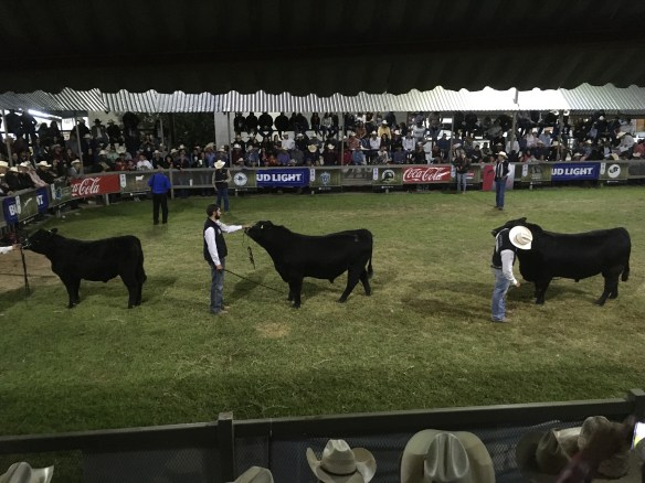 AD90FD0B-67D3-4262-B305-F2FE7137C230