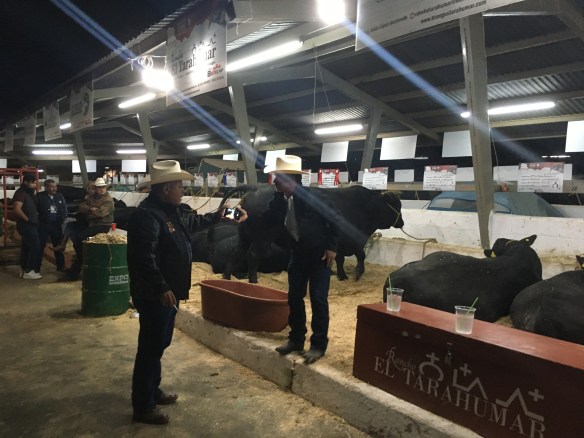 DAEF305A-2E43-49FD-8772-0B4CC598EA24