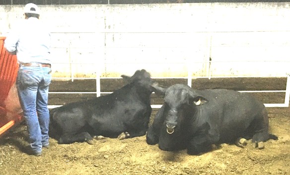 FD39182D-CCBA-40BC-A320-76BE25B1726A