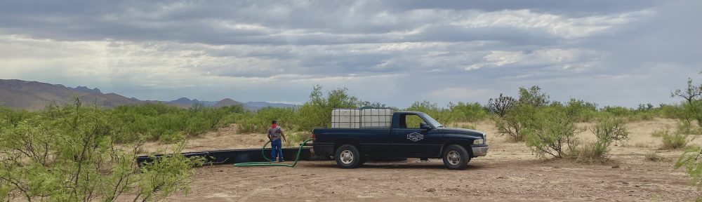 Rancho El Tarahumar Brangus